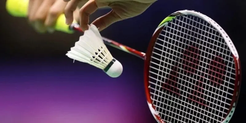 Thông tin tổng quan về game đánh cầu lông